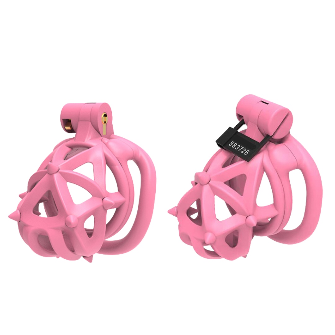 Pink Resin Chastity Cage with Removable Soft Spikes Sex Punishment for Sissy