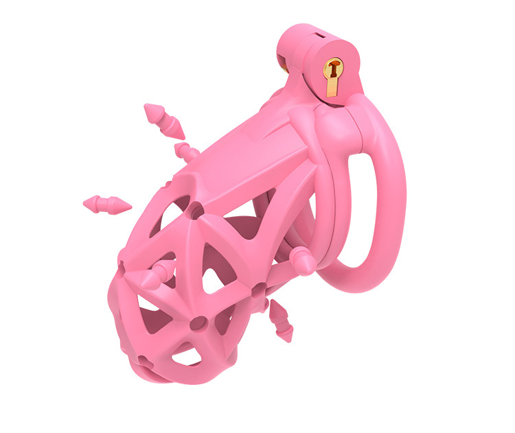 Pink Resin Chastity Cage with Removable Soft Spikes Sex Punishment for Sissy