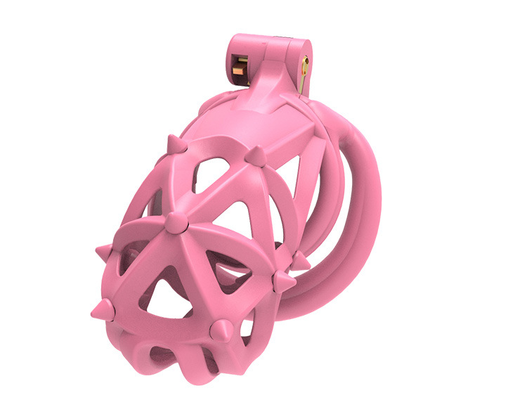 Pink Resin Chastity Cage with Removable Soft Spikes Sex Punishment for Sissy
