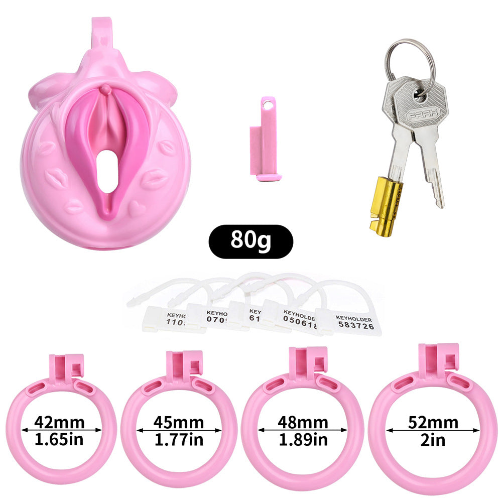 Pink Clit Chastity Cage For Sissy with Lock and 4 Penis Rings