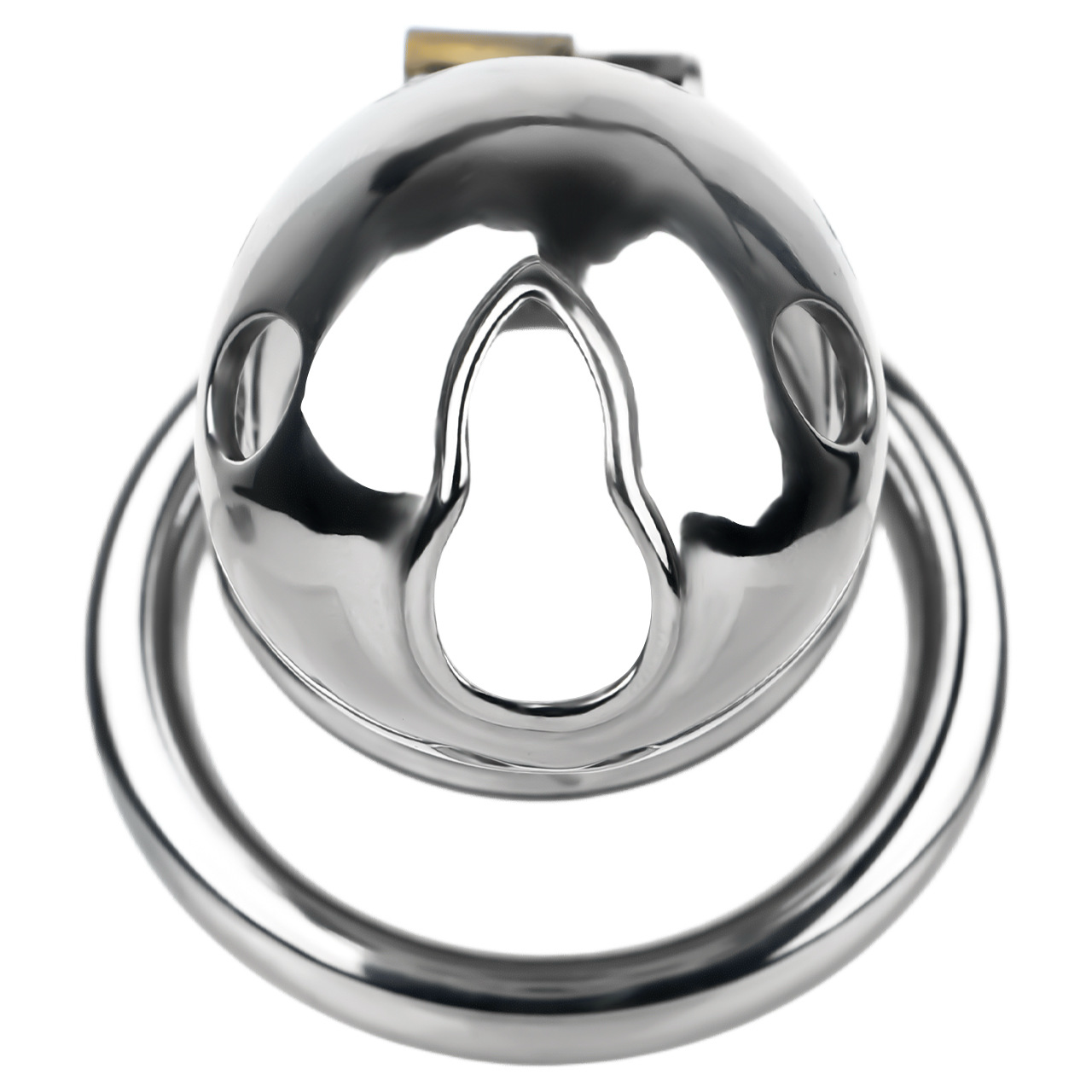 Dispositif de chasteté Goldfish en acier inoxydable avec cathéter clitoridien en silicone