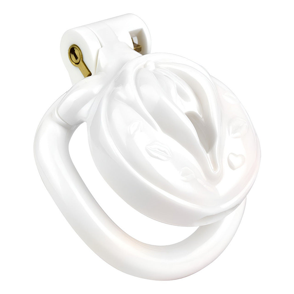 Resin Clit Chastity Cage with 4 Rings 3D Printed Sissy Chastity Cage - White/Black/Pink/Nude