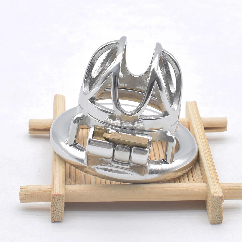 BDSM Metal Inverted Chastity Cock Cage with Lock Penis Rings - KeepMeLocked
