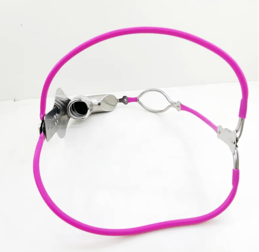 Stainless Steel Cock Shield Chastity Belt with Shit Hole - Pink - KeepMeLocked