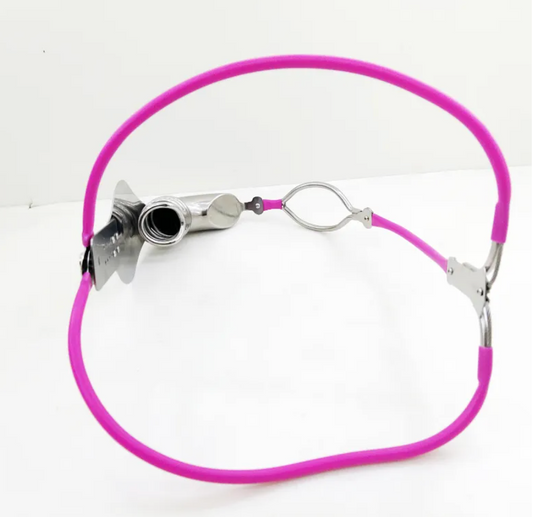Stainless Steel Cock Shield Chastity Belt with Shit Hole - Pink - KeepMeLocked