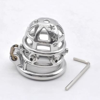 small chastity cage with spikes