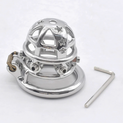 spiked chastity cage