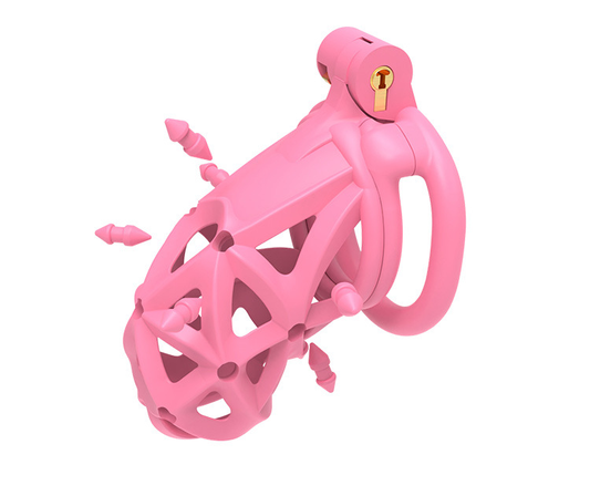 Pink Resin Chastity Cage with Removable Soft Spikes Sex Punishment for Sissy
