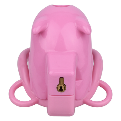 Little Devil Chastity Cage with Vaginal-Style Silicone Catheter – Black/Pink ABS Resin