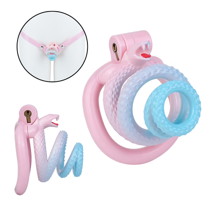 Cage de chasteté serpent dégradé rose à bleu