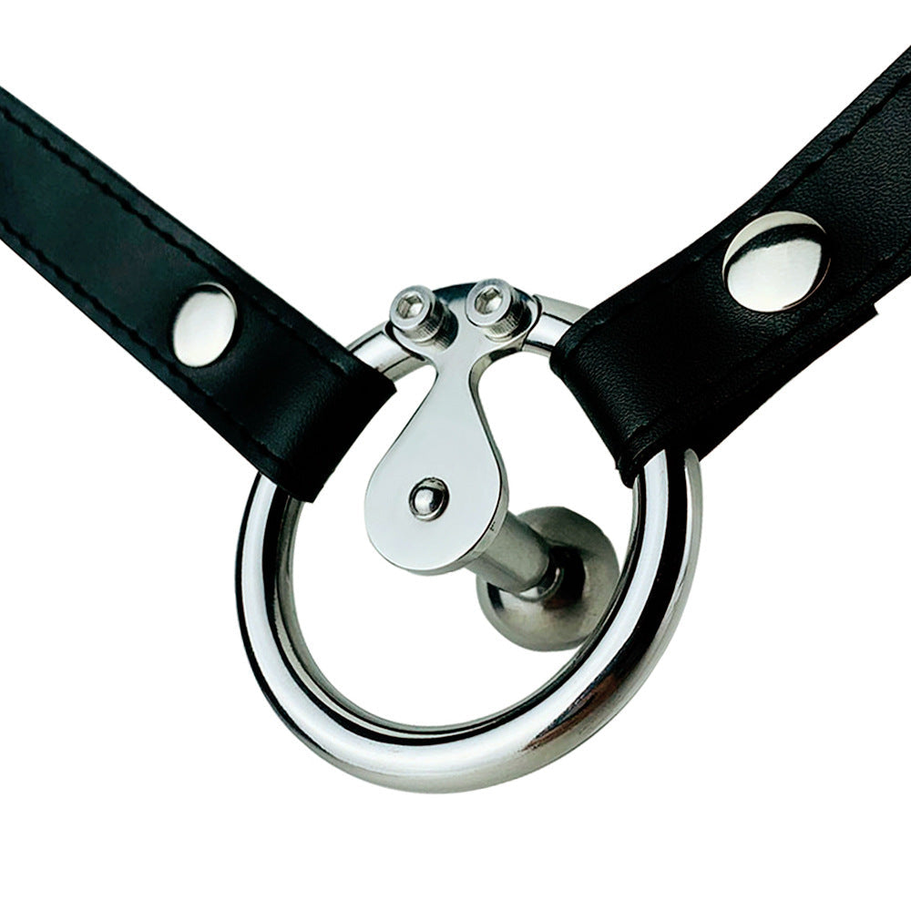 chastity belt for men with inverted cock cage