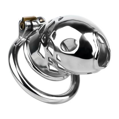 Dispositif de chasteté Goldfish en acier inoxydable avec cathéter clitoridien en silicone