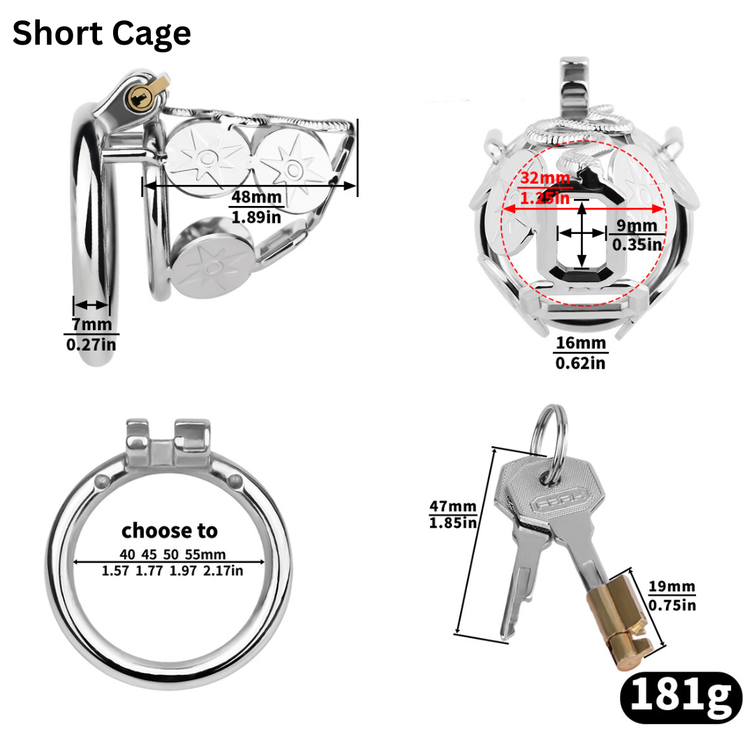 Metal Cobra Chastity Cage with Built-In Lock Short & Long Modern Cock Cage