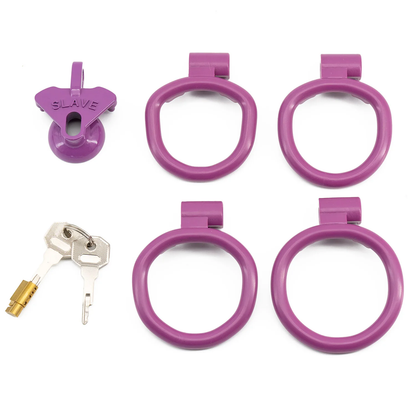 Cage de chasteté inversée petite taille pour esclave sexuelle avec 4 anneaux - Multicolore