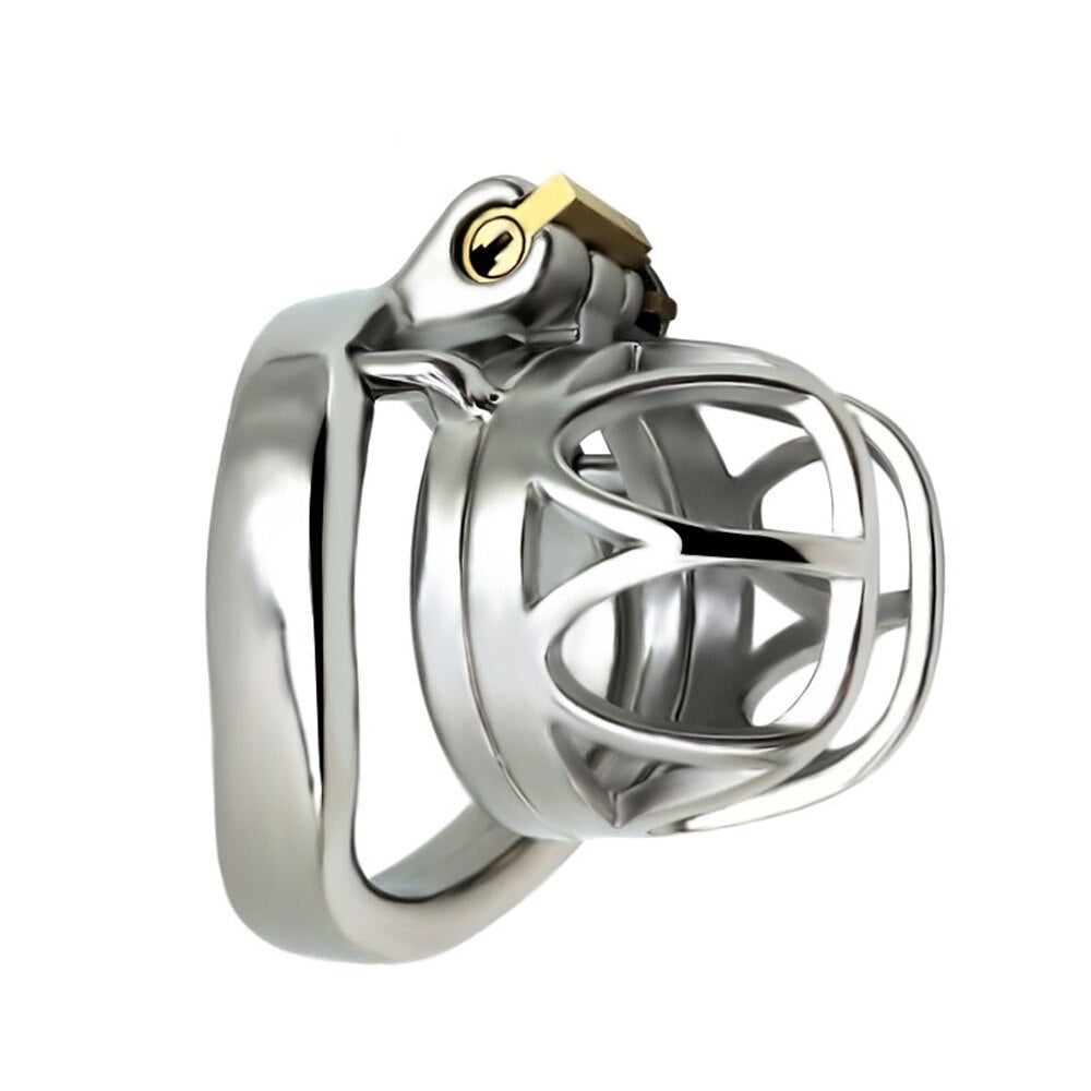 BDSM Metal Inverted Chastity Cock Cage with Lock Penis Rings - KeepMeLocked